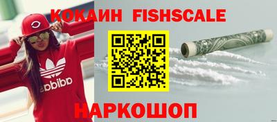 гидропоника Новозыбков
