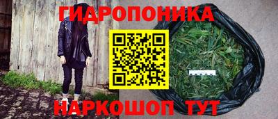 гидропоника Новозыбков