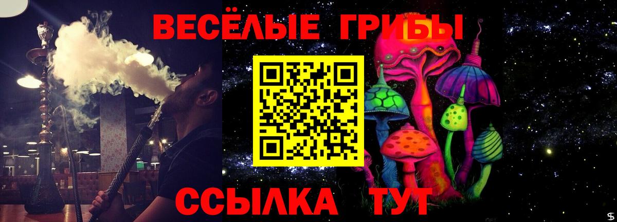 Галлюциногенные грибы Cubensis  Галлюциногенные грибы ЛСД  Пугачёв  Вход с VPN 